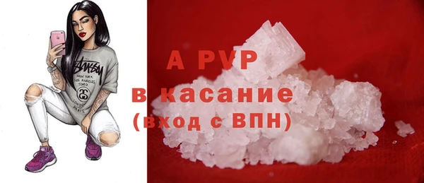 гашик Арсеньев