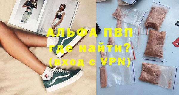 гашик Арсеньев