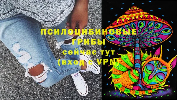 прущий лед Аркадак