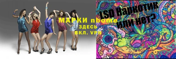 гашик Арсеньев