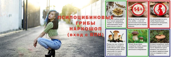 гашик Арсеньев