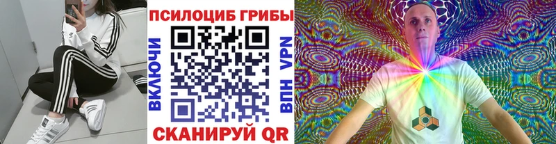закладка  Струнино  сайты даркнета как зайти  Галлюциногенные грибы прущие грибы 